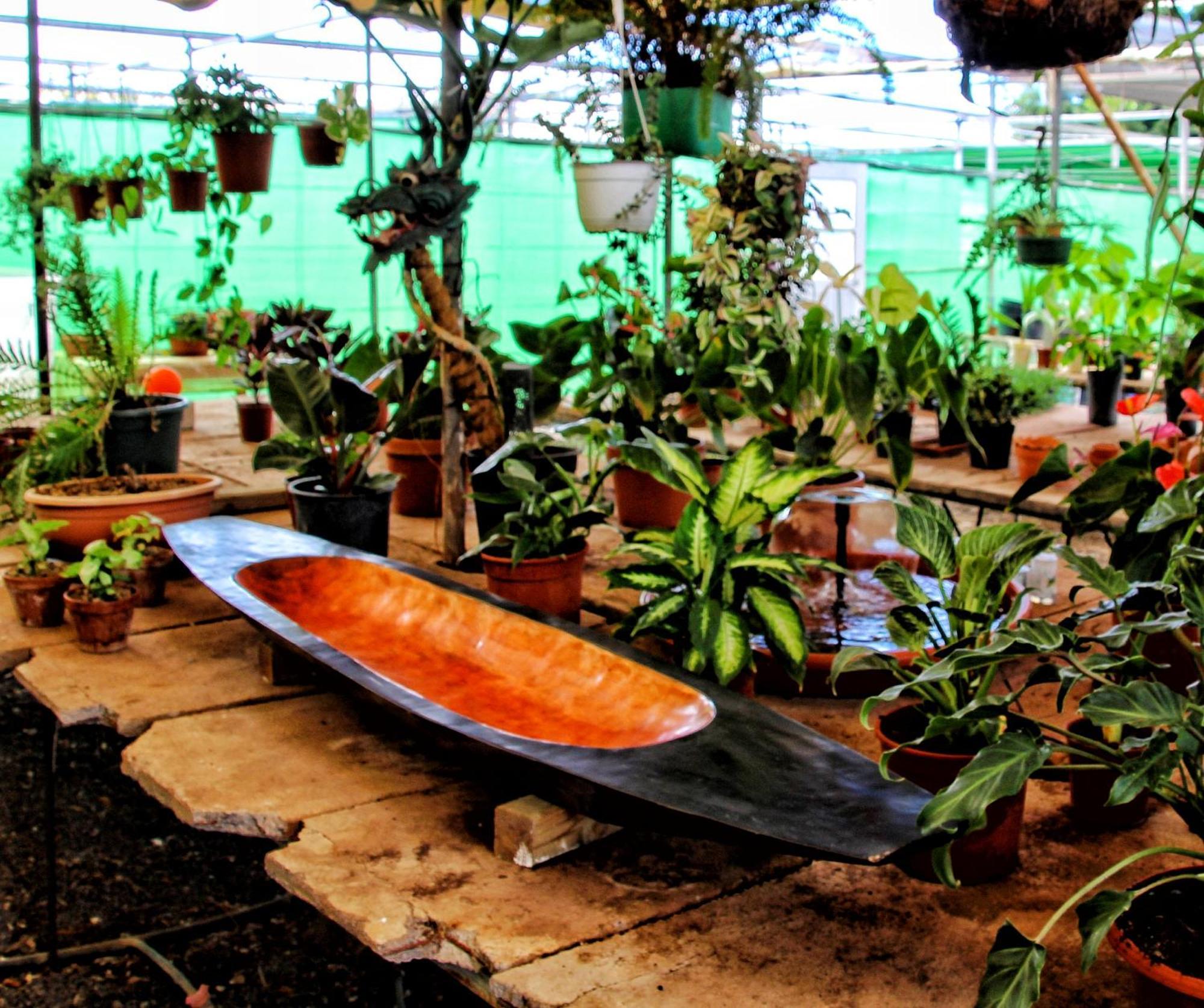 Guía de Isora Finca Berolo 4 מראה חיצוני תמונה