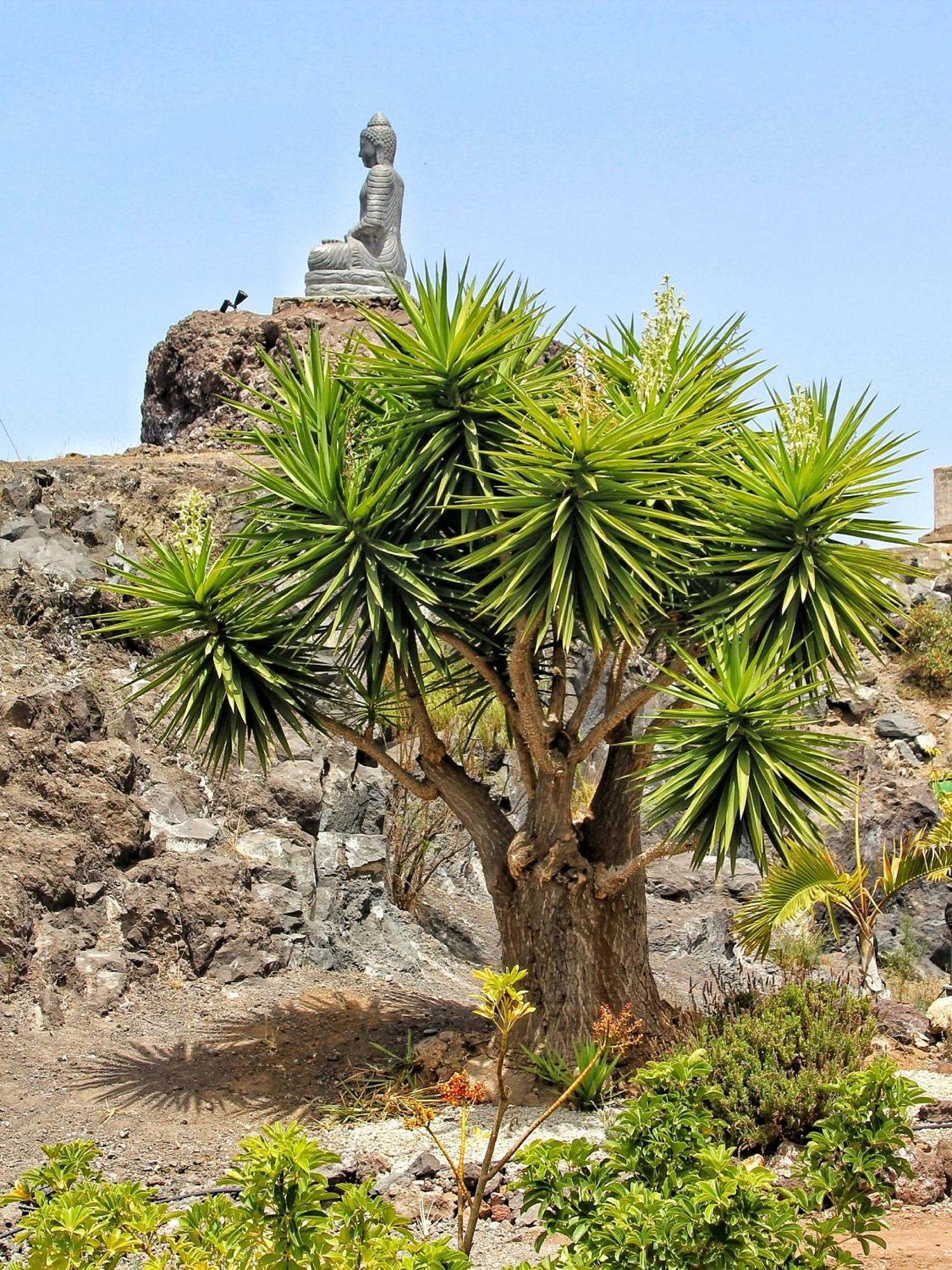 Guía de Isora Finca Berolo 4 מראה חיצוני תמונה